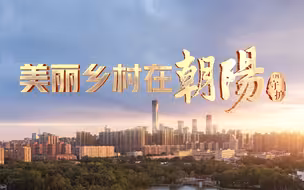 北京市朝阳区《美丽乡村在朝阳》宣传片 （四）守护