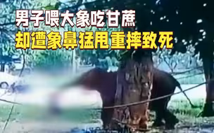 可怕！男子喂大象吃甘蔗 却遭象鼻猛甩重摔致死