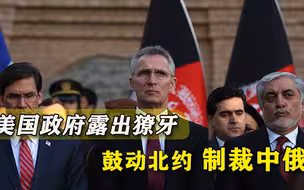 北约30国集结开会，讨论如何对付中俄，普京决定发起反攻