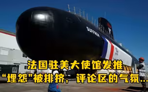 法国驻美大使馆发推埋怨被排挤，评论区的气氛...