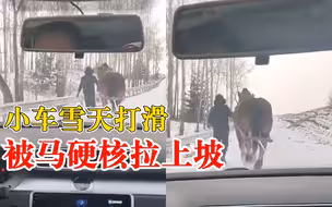 小车雪地上坡打滑输给一匹马：没提前换轮胎，姑姑家刚好有马