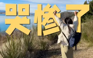 女司机崩溃流泪？新西兰到底有多美！
