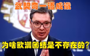 武契奇一语成谶，为啥欧洲团结是不存在的？俄罗斯人说了句大实话