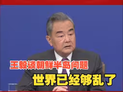王毅谈朝鲜半岛问题：世界已经够乱了，谁要借半岛问题开冷战对抗的倒车，就要承担历史责任