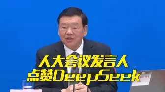 人大会议发言人点赞DeepSeek：代表一批中国公司在AI领域崛起！