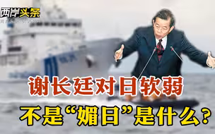 台湾渔船遭日本公务船冲撞 谢长廷态度软弱让人“软土深掘”