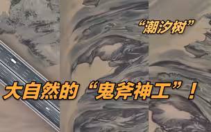 航拍钱塘江退潮后现大面积“潮汐树”