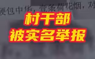 镇纪委书记回应村干部被实名举报一事