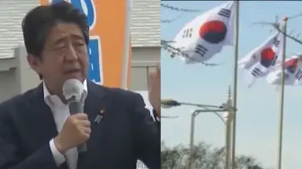 美媒报道安倍遇刺身亡配上韩国国旗 网友嘲：美学校多教教地理吧