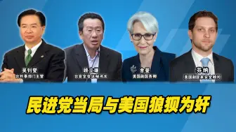 民进党当局与美国狼狈为奸，对台湾意味着什么？岛内学者评析