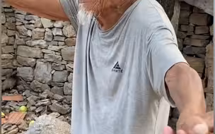 98岁爷爷看着庭院满地落果 一句话让网友破防: 那是回不去的童年