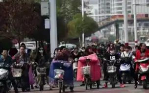 7月1日起电动车“一车一票”正式实施，“小电驴”或将迎来“涨价潮”！