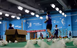 藏龙卧虎！深圳这所学校竟有这么多羽毛球高手