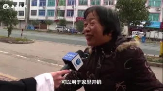 视频丨指尖上的致富路
