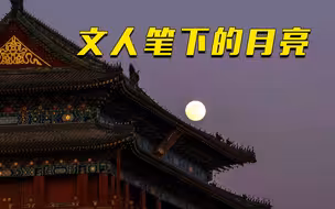 【人类月球日】别忘了抬头看看月亮～