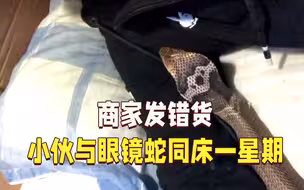 差点没命！商家发错货 小伙和眼镜蛇睡一个被窝