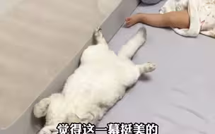女子看到家人睡姿如同复制粘贴，温馨一幕让她忍不住感叹:他们就是我生命里最好的礼物