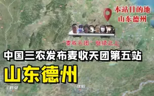 聚焦三农丨“麦收天团”第五站山东德州