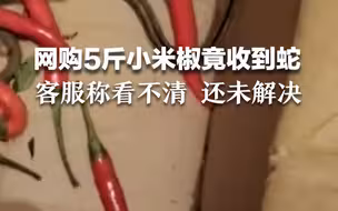 网购5斤小米椒竟收到蛇 客服称看不清 还未解决
