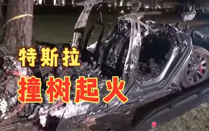 美国一特斯拉撞树起火烧成骨架致2死 警方：事发时处于无人驾驶状态