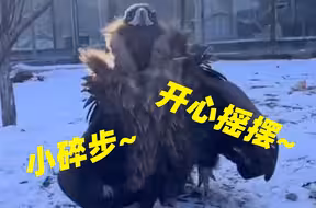 ⚡原来座山雕走路的姿势这么魔性⚡