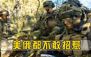 加拿大只有6万兵力，充当美俄天然屏障，任何国家不敢贸然进攻