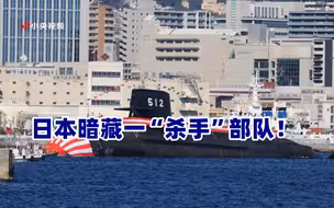 日本暗藏一“杀手”部队！