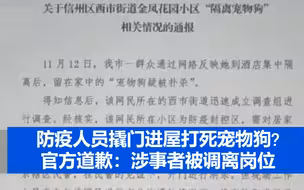 网友发文痛诉隔离期间防疫人员撬门进屋打死宠物狗 官方道歉：在警方见证下开门，涉事者被调离岗位