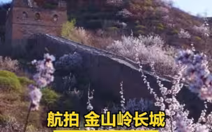 航拍｜金山岭长城万亩杏花绽放