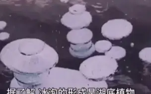 漠河冰封湖面现冰泡奇观 温度低至零下18℃