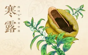 【四时“丰”物在中国】寒露——芝麻浑身是宝