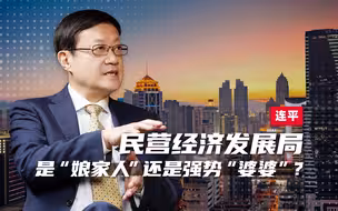 专访连平：民营经济发展局是民企的“娘家人”还是强势“婆婆”？
