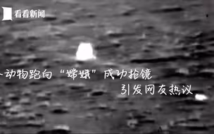 收“土特产”快递？第一个迎接嫦娥五号回家的居然是它