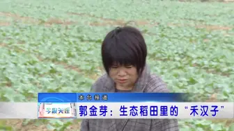 生态稻田里的“禾汉子”