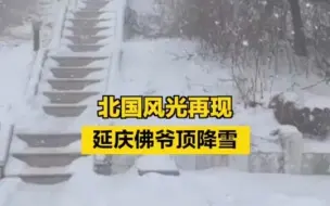 北国风光再现！延庆佛爷顶降雪