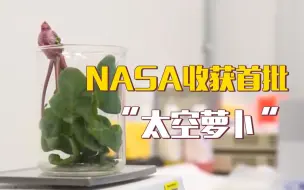 零重力培育！NASA收获首批“太空萝卜”