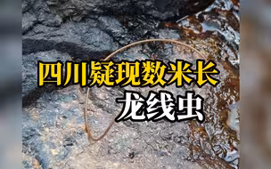 四川疑现数米长龙线虫？已上报疾控中心