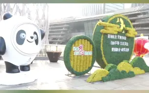 冬奥“顶流”亮相天津市MSD广场泰达！冰墩墩和雪容融都在哟~