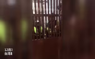 台湾新党召集人王炳忠被台当局以“为大陆搜集传递公务秘密”为名抓走
