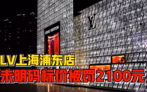 LV上海浦东店被罚2100元：男士旅游鞋没有按规定标示价格