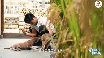 “青春逐梦 强国有我”第二季｜我的乡野艺校