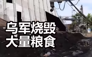 俄媒称乌军烧毁马里乌波尔港大量粮食  现场：成堆谷物焦黑、腐烂