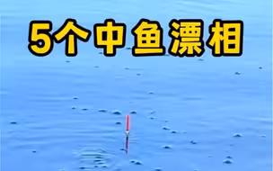新手必学五个中鱼漂相