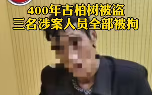 都市报道【400多年古柏树被盗 三名涉案人员全部被拘】