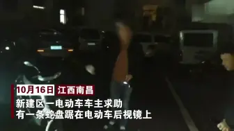 白蛇钻进电动车 消防员拆车抓蛇