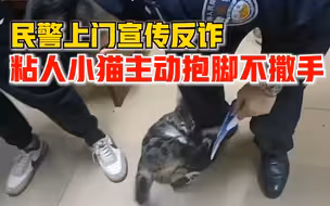 民警上门宣传反诈猫咪紧抱不撒手，猫主人：可能它也想进个编制
