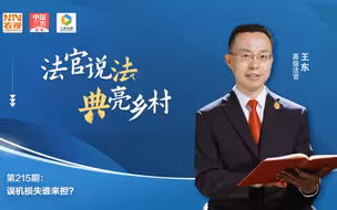 法官说法丨误机损失谁来担?