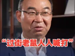 王俊谈中国胸腔镜手术早期推广：像“过街老鼠”一样人人喊打 但是哪怕是个门缝我也要过去