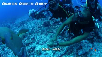 【心中有片海】福建蓝这样玩起来！在上天和下海间自由切换