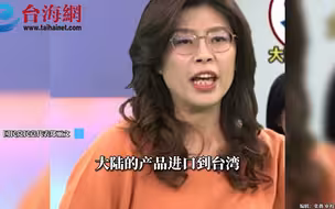 蔡当局称要去WTO告状？郑丽文：打人的喊救人  做贼的喊抓贼